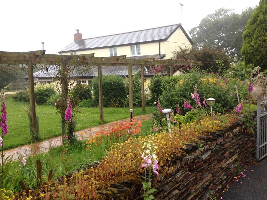 Barton Gate Farm B&B Bude Luaran gambar