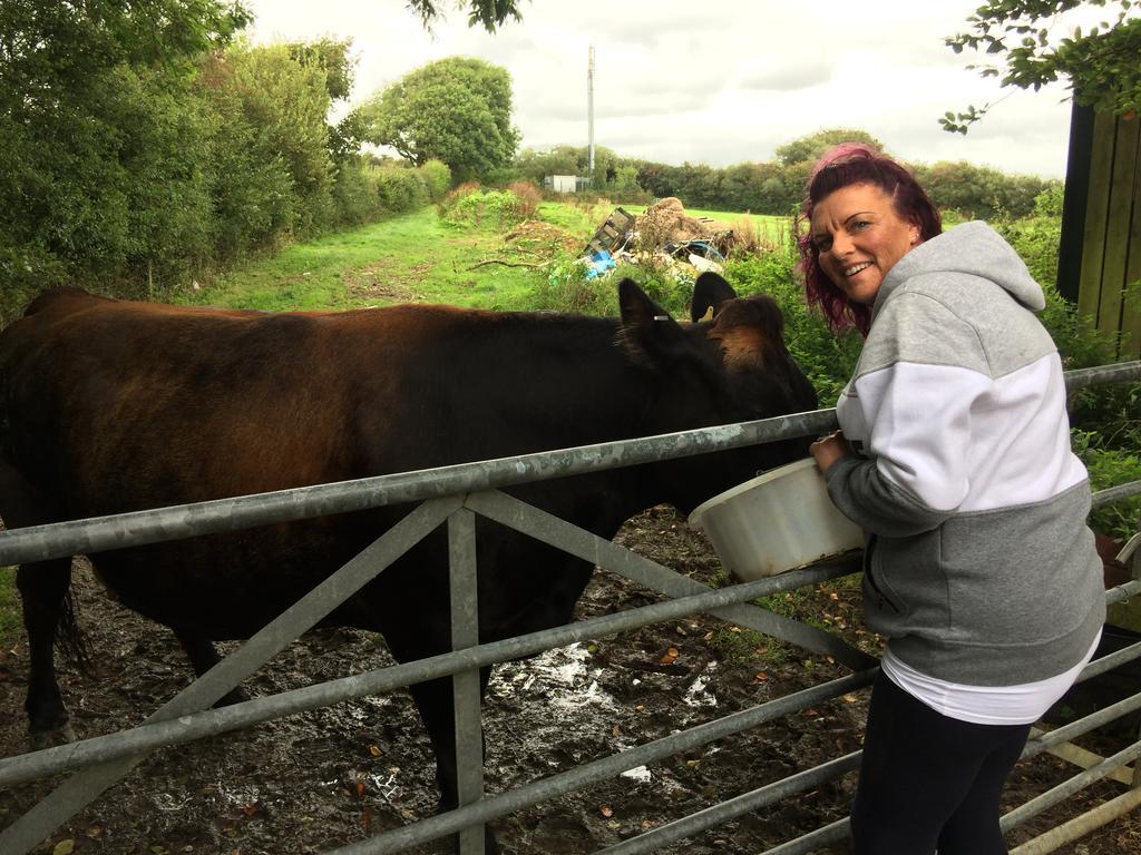 Barton Gate Farm B&B Bude Luaran gambar