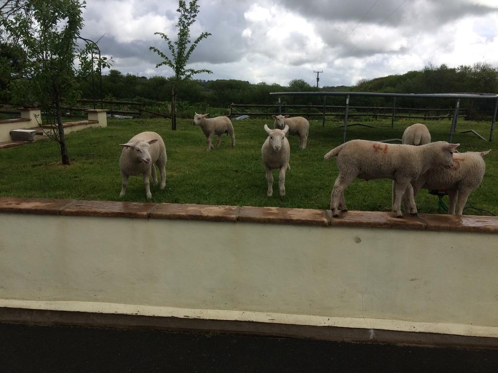 Barton Gate Farm B&B Bude Luaran gambar